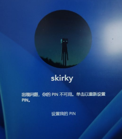 PIN不可用